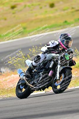 media/Apr-13-2024-Classic Track Day (Sat) [[9dd147332a]]/Group 3/Session 3 (Turn 3)/